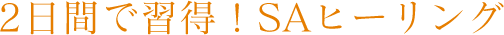 2日間で習得！SAヒーリング