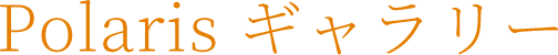 Polaris ギャラリー