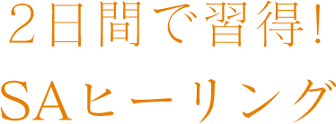 2日間で習得！SAヒーリング